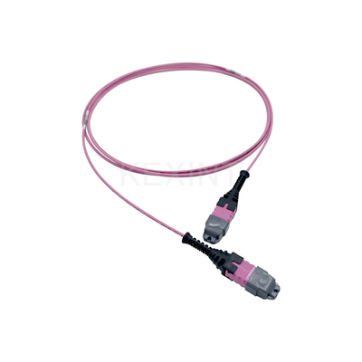 KEXINT FTTH MTP PRO OM4 12 Çekirdekli Fiber Optik Yama Kablosu 2M Tip B