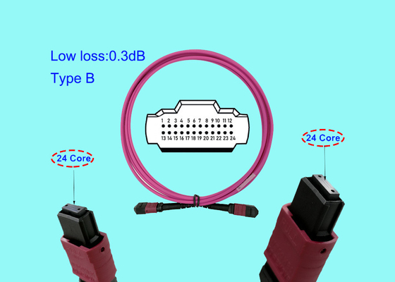 100G 24 MTP MPO Fiber Optik Kablo Yama Kablosu 3M OM4 24 Çekirdek Macenta Tip B USCONEC